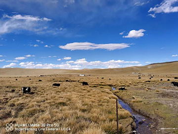 心系yp街机情，，，，追梦阿里行！