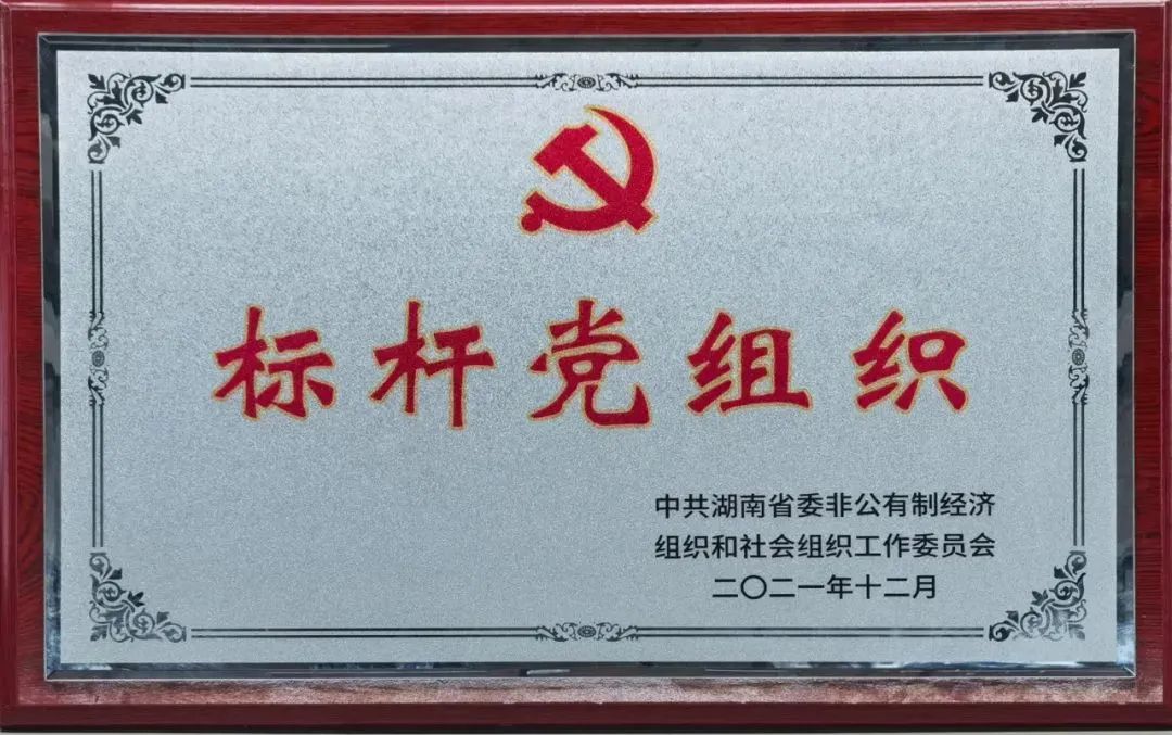 党建品牌亮起来！yp街机智能党委获评“标杆党组织”