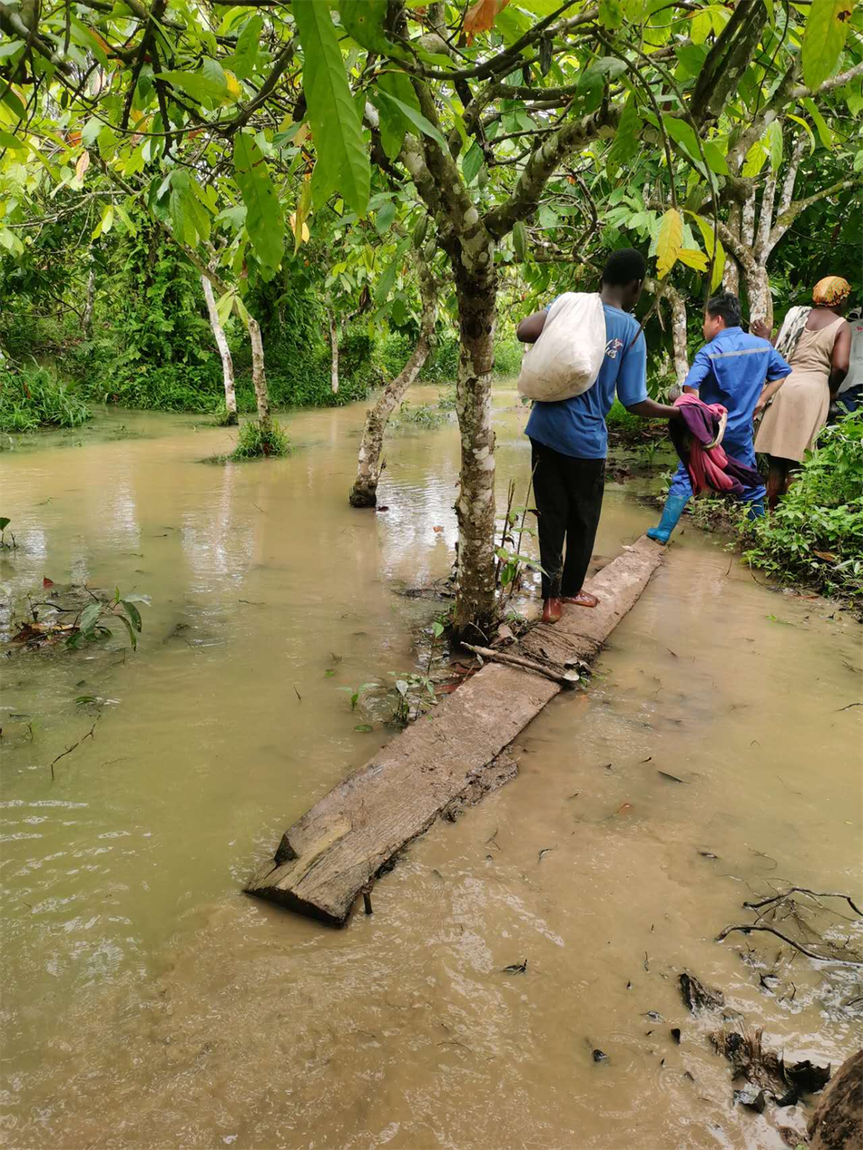 品质yp街机，，，，专心折务！yp街机智能效劳万里行活动走进非洲加纳